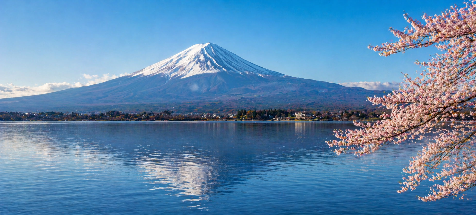 Japan Cruises