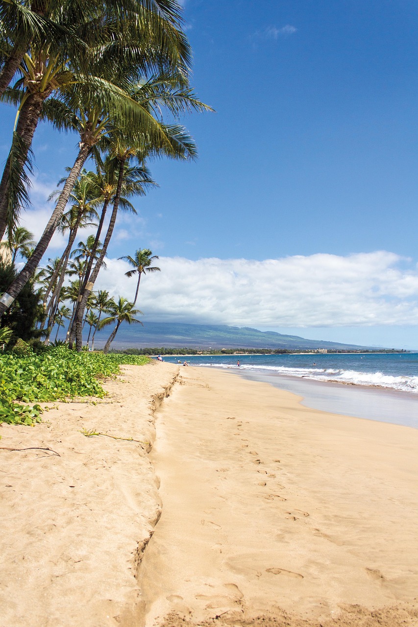 Hawaii cruise featuring tropical coastline, volcanic landscapes, and ocean views